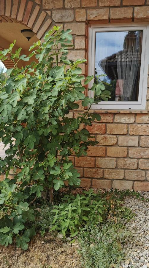 Mediterrania Apartment Кестхей Экстерьер фото